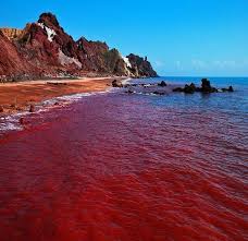تور قشم از یزد